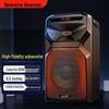 Bluetooth-колонка Newmine A2 для улицы, штекер CN (адаптер в комплекте)