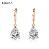 Lindon Copper Alloy Zircon Earrings Drop Earrings For Women Wedding Party Gifts