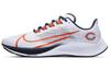 Air Zoom Pegasus 37 Чикаго Бэарз CZ5433-100