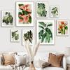 Зеленое растение Монстера Ракушка Бохо Абстрактный цветок Скандинавское настенное искусство Холст Живопись Постеры Принты Картины для декора гостиной Без рамы