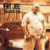 12-дюймовая пластинка FAT JOE - Success 8856112511 RELATIVITY 1995 США Рэп и хип-хоп/R&B Б/У