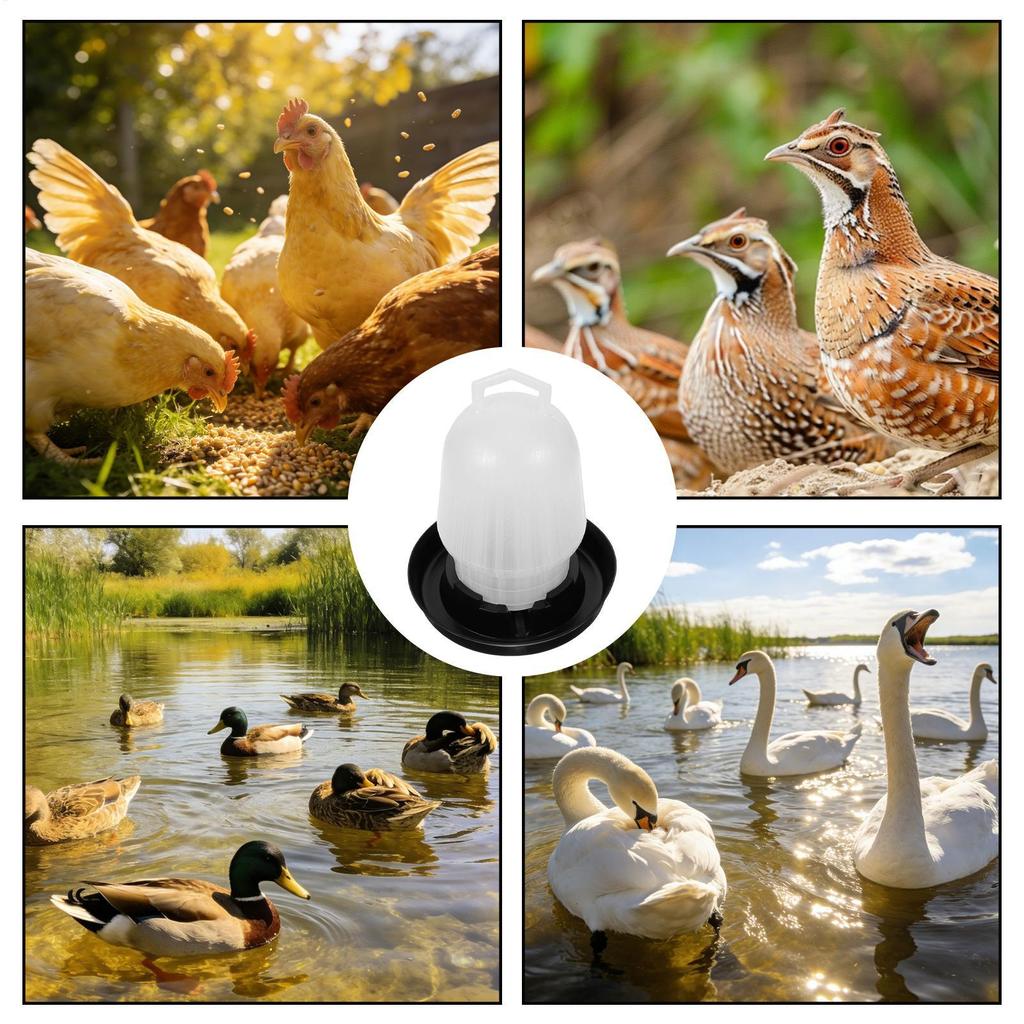 Автоматическая поилка для кур, птиц, уток, гусей, голубей, перепелов, скота, курятника, фермы, кормление, питье