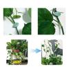 10Pcs Wall Fixer Leaf Shaped Clips Self-Adhesive Fixed Buckle New Hook Support  for Plant Climbing
