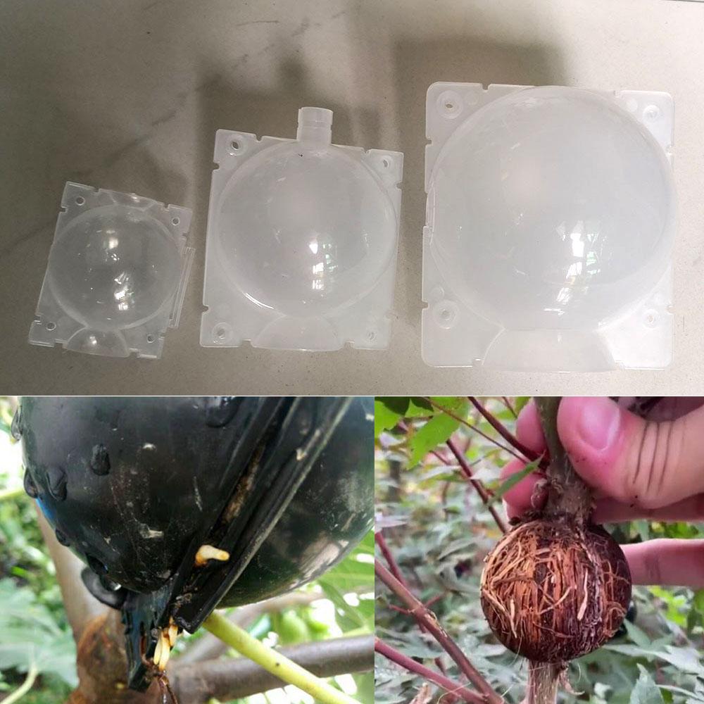 Fruit Tree Plant Rooting Ball Grafting Growing Box Breeding Case for Garden High-pressure Propagation  Sapling