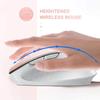 Ergonomic Rechargeable LED Backlit Wireless Silent Mouse 2.4G Dual Mode Plug And Play 1600 DPI Wireless Mouse for Laptop/Desktop