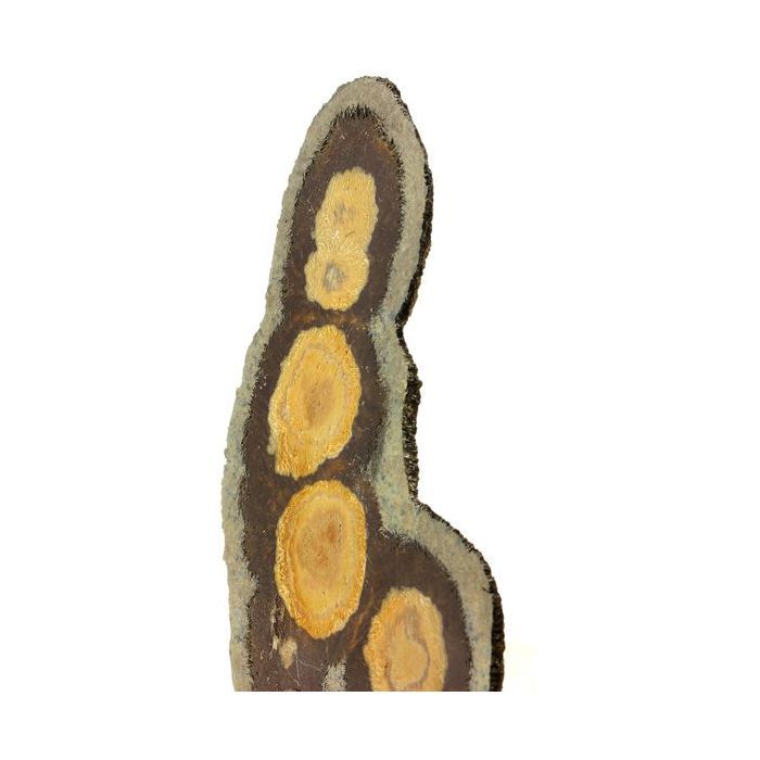 Pierres et Minéraux. Marcasite + Baryte. 593.0 ct. Lubin District, Lower Silesia, Pologne.