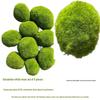 Artificial Moss Turf and Rockery Stones for Horticulture, Landscaping, and Bonsai Decor
