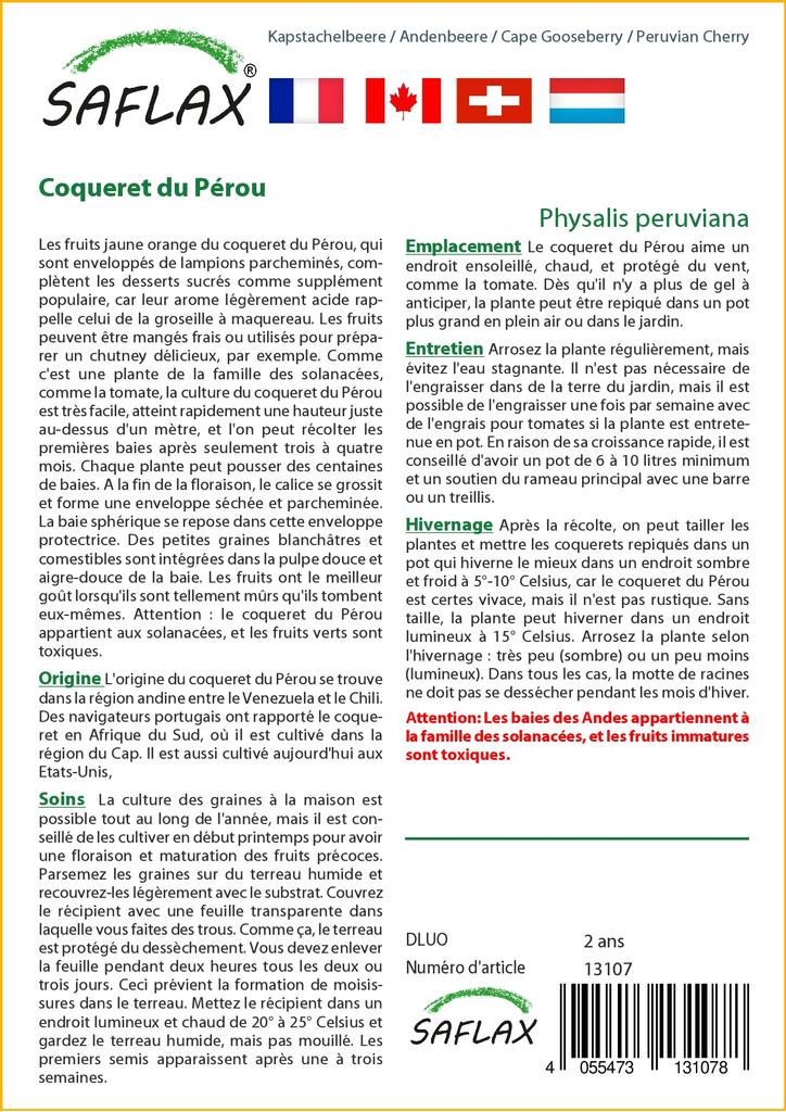 SAFLAX Капский крыжовник / Перуанская вишня - 100 семян - Physalis peruviana