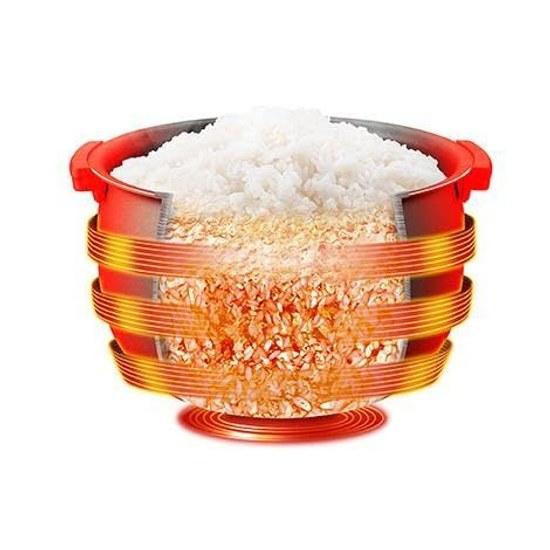 Overseas model Tiger 10.0 go pressure IH rice cooker JKT-F18 W 220V specification made Japan