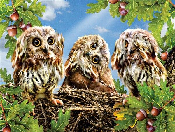 Алмазная картина Сова, полная дрель, украшение для дома, Алмазная вышивка, мозаика с животными, картина со стразами, настенное искусство