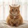 Zinc Zinc Alloy Pet Crown Headdress Adjustable Kitten Party Headwear Pet Party Decorations  Pet Accessories