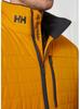 Куртка Helly Hansen Crew Insulator Jacket 2.0 (30343) морошка