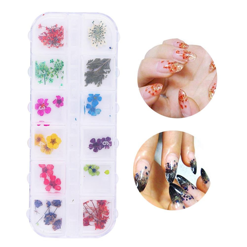 12 цветов натурального сухоцвета для акрилового УФ-геля для дизайна ногтей, чехол для самостоятельного декора C