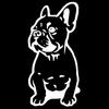 Funny French Bulldog Reflective Car Vehicle Body Window Decals Sticker Decor