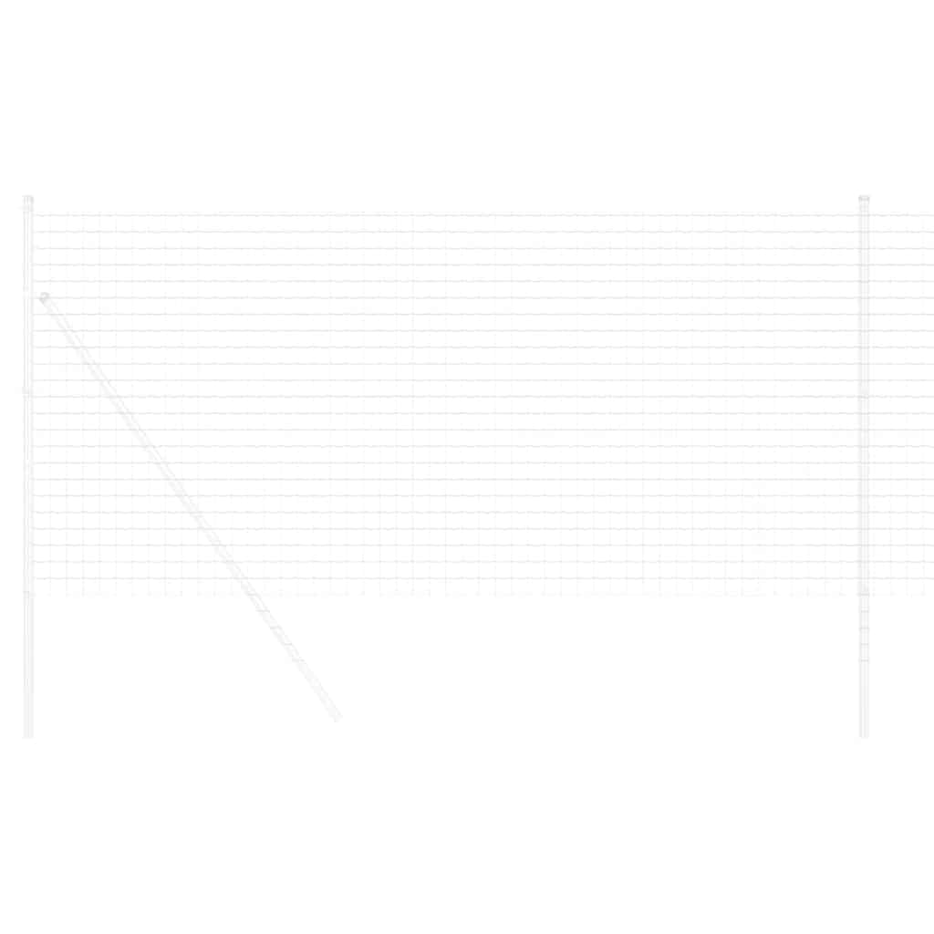 Euro Fence 1 x 10 m PVC coated Iron
