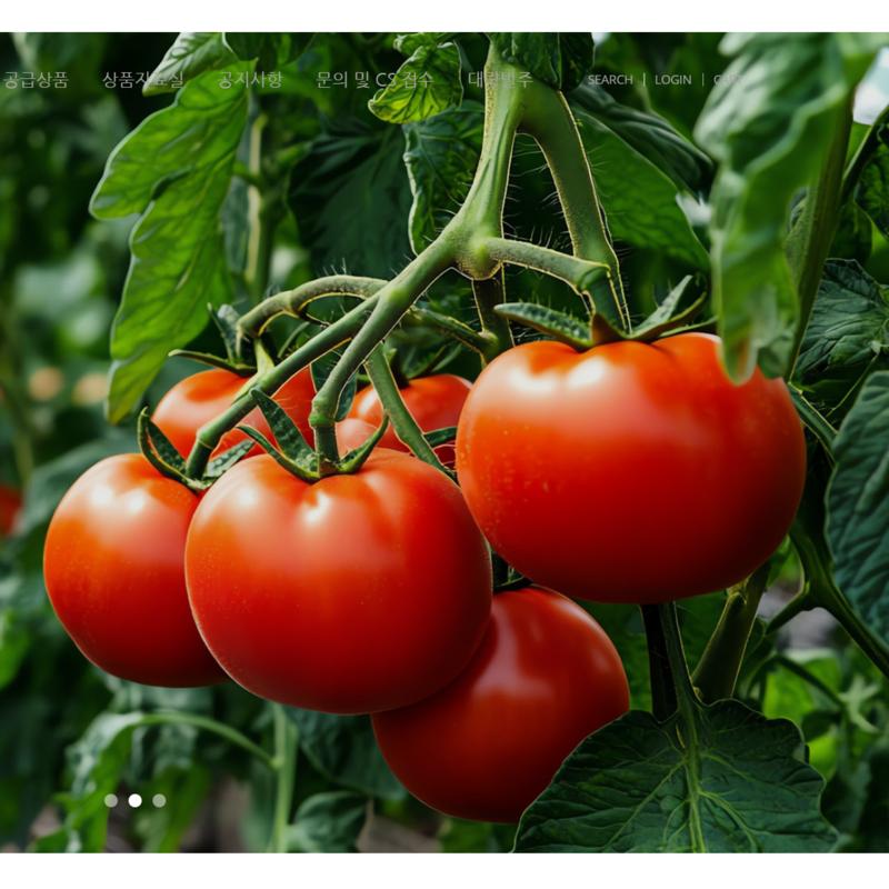 100% Whole Jujube Cherry Tomato Juice Tomato Juice Juice 120Ml, 120Ml, 30 Pieces