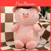 Style Pig Hair Plush Toys Cartoon Animal Stuffed Doll Decoration Gifts Kids