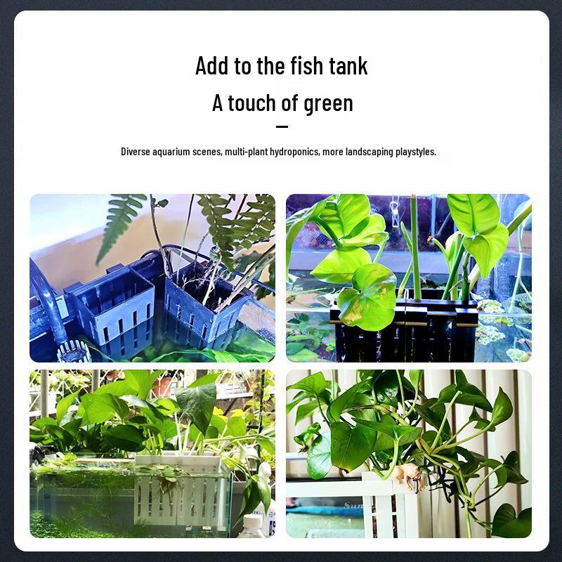 Wall-Mounted Hydroponic Plant Bracket for Aquatic and Green Plant Displays