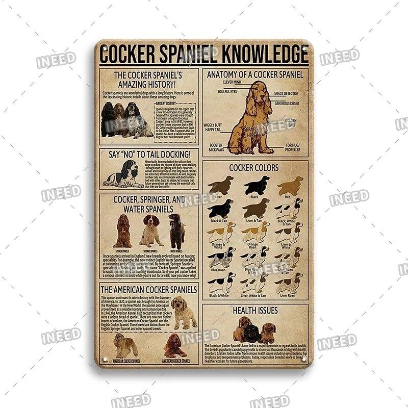 Оловянный знак Знание стоматолога Колли винтажная доска художественный плакат для стоматологического кабинета фитнес-клуба офиса ванная комната Настенный декор подарок