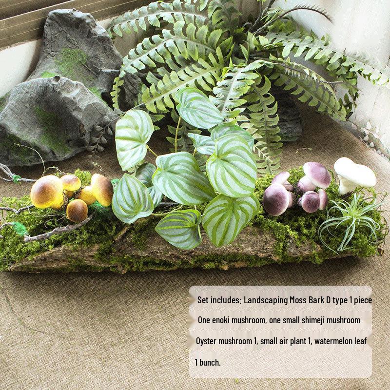 Artificial Moss Turf Carpet for Indoor & Outdoor Decoration