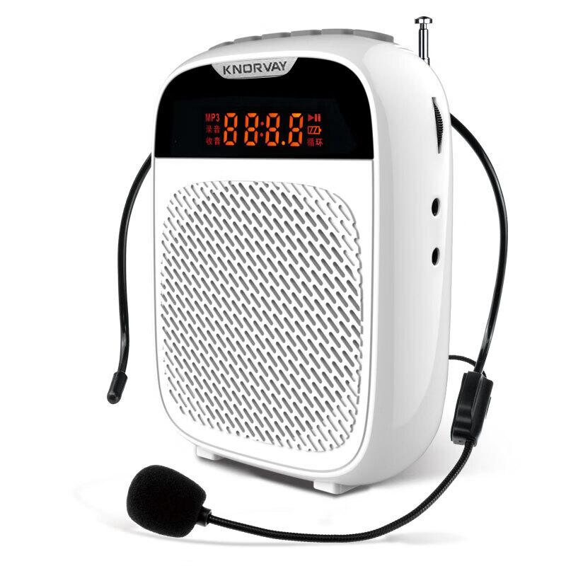 Portable Digital Voice Amplifier