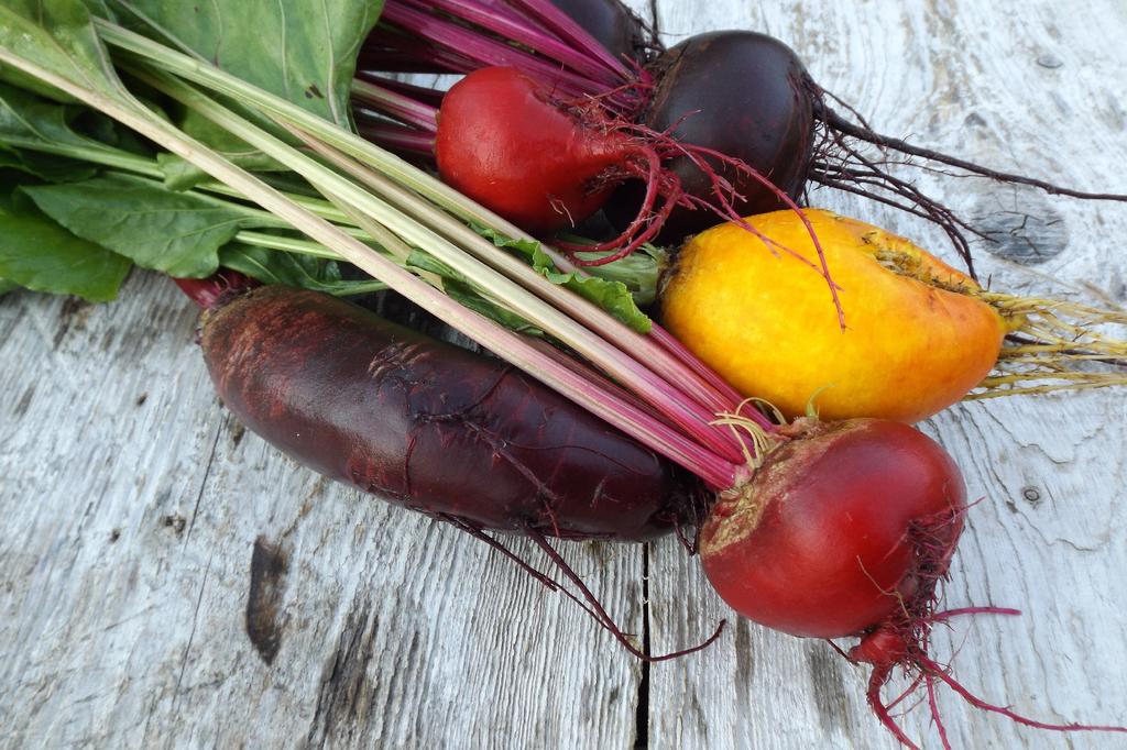 SAFLAX Сад в пакете - Органический - Свекла - Кьоджа - 70 семян - С субстратом в подходящем стоячем пакете - Beta vulgaris