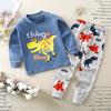 Winter Kids Long Sleeve O Neck T Shirt Pants Set Casual Baggy 2pcs Suit Cotton Cartoon Printes Outfit