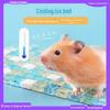 Летний охлаждающий коврик для мелких домашних животных: Хомяк, Золотой медведь, Шиншилла, Кролик - Алюминиевая кристаллическая ледяная подставка