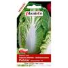 Polstar Chinese Cabbage Seeds 0.5g Vegetables for the Garden