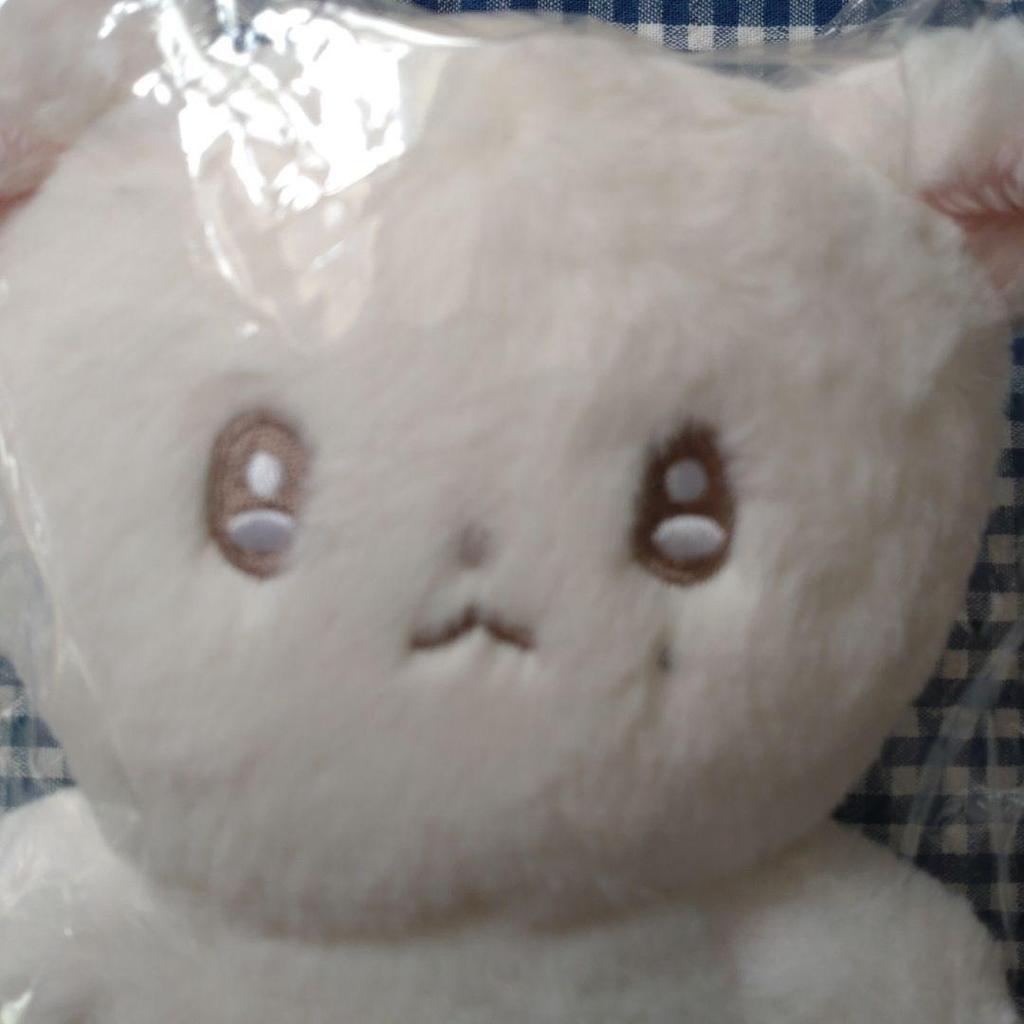 [USED] THE BOYZ Yonghoon Stuffed Toy 20cm