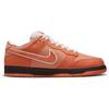 Concepts X Nike Dunk Low SB Orange Lobster Unisex Sneakers Orange-Frost Electro-Orange White FD8776-800