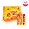 Burt's Bees Juicy Lip Trio Set