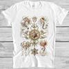 Трахомедузы Базидиомицет Эрнст Геккель Музыка Мода Лучший Подарок Футболка M948