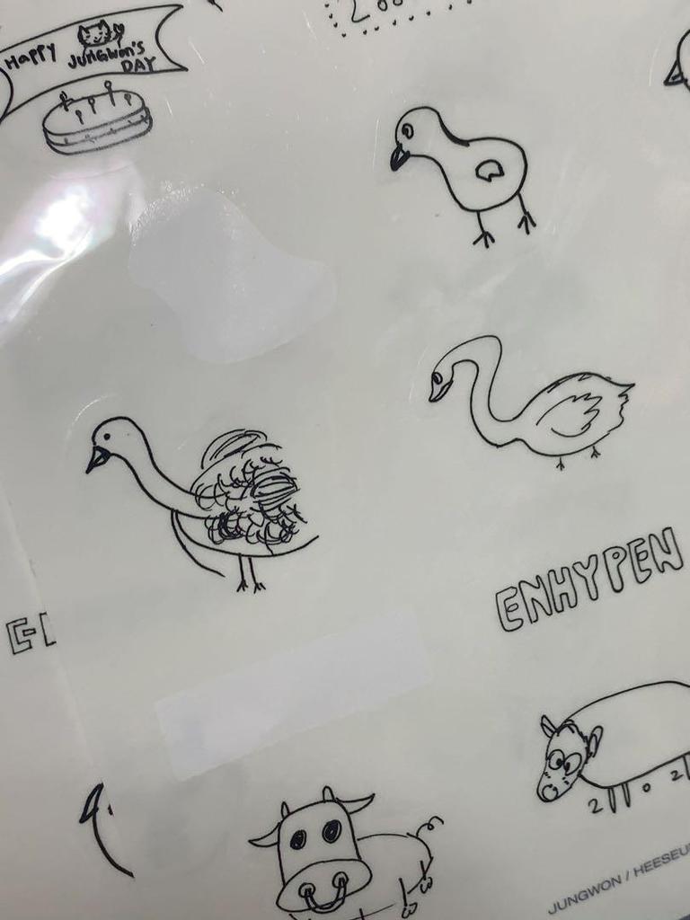 [USED] Enhypen CD Album DVD Bundle with Trading Cards