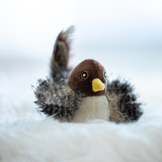 Интерактивная игрушка для кошек «Щебечущая птичка», активируемая прикосновением, игрушка для котят, пищащая игрушка для кошек с перьевым хвостом, плюшевая игрушка-дразнилка в виде птички для домашних кошек