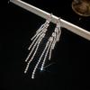 European and American Silver Needle Zircon Fringed Earrings Light Luxury High-end Atmospheric Earrings Niche Earrings Women