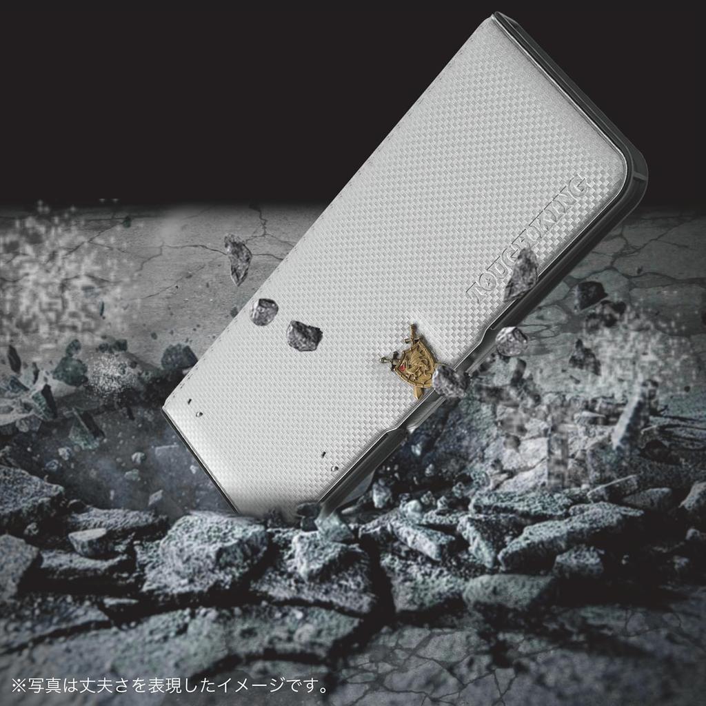 Kutsuwa Tough King Pencil Sword and Shield Silver 2-Door Case, CH209SV,