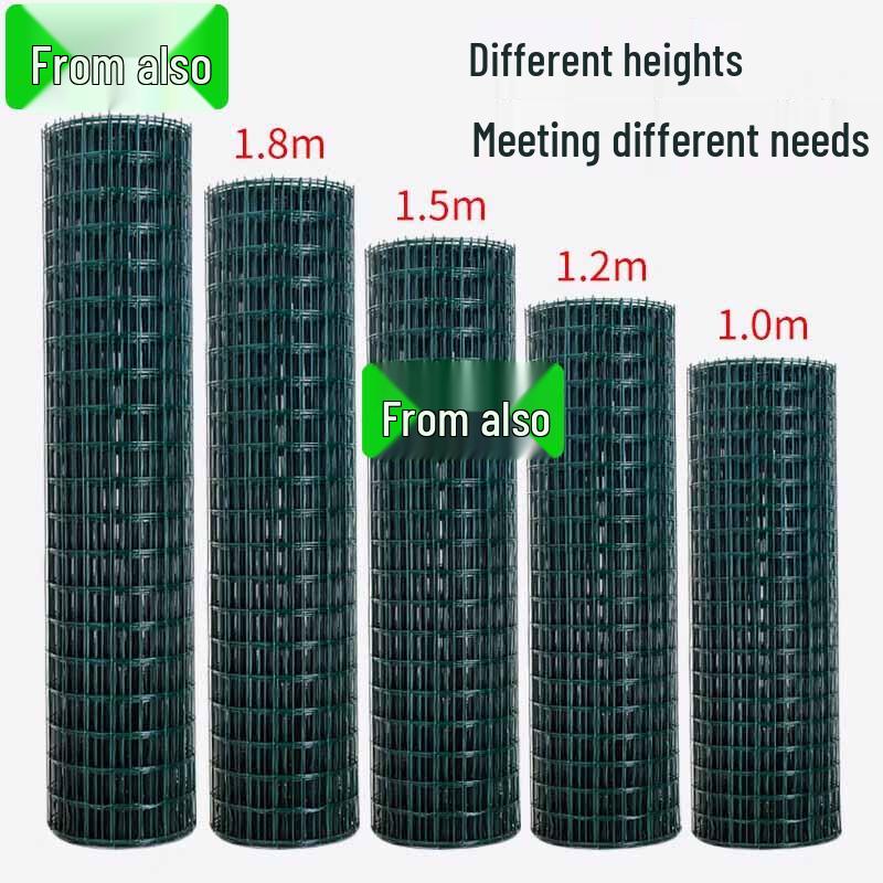 Holland Net Wire Mesh Fence