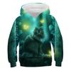 Autumn 3D Cat Pattern Printed Top Fashionable Casual Long Sleeved Children's Boy Hoodies