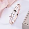 Fashion Light Luxury Senior Sense Titanium Steel Bracelet Four-Leaf Clover Bracelet Female Non-Colour Loss Bracelet