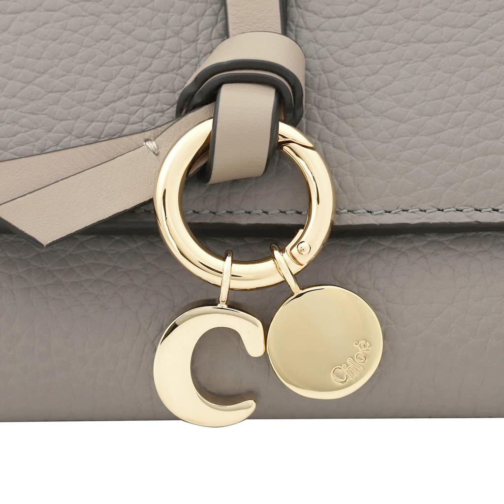 Кошелек Тройной Алфавит ALPHABET Маленький Тройной Кошелек Тройной Кошелек CHC21WP945 F57 053 [Chloe] [Товар]