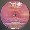 12-дюймовая пластинка CHE'NELLE, BABY CHAM - I Fell In Love With The DJ DPRO02683 Capitol Records 2007 US Регги, Ска и Даб Б/У