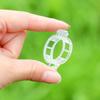 20Pcs Seedlings Fixing Clips Quick-open Plant Support Clips Clear Vine Fixing Buckles for Grafting Tying Vines And Hanging Plants Healthy Growth