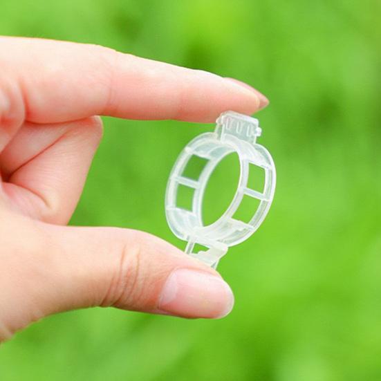 20Pcs Seedlings Fixing Clips Quick-open Plant Support Clips Clear Vine Fixing Buckles for Grafting Tying Vines And Hanging Plants Healthy Growth
