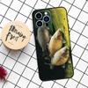 Рыбалка на карпа Чехол Для iPhone 16 15 14 11 12 13 Pro Max Mini X XR XS Max 7 8 16 15 Plus Чехол Funda