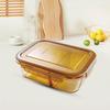 VISIONS NAPWARE Amber Divided Glass Food Container