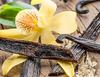Vanilla Studio Vanilla Beans 10 Pieces Grade A Indonesian Baking Homemade Extract Flavoring Coffee Safe Reliable