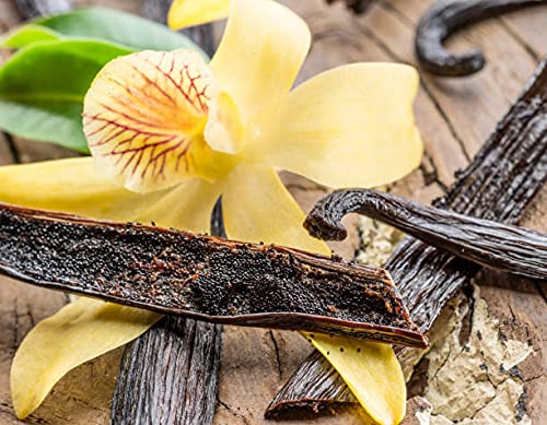 Vanilla Studio Vanilla Beans 10 Pieces Grade A Indonesian Baking Homemade Extract Flavoring Coffee Safe Reliable