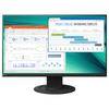 Монитор EIZO EV2460 IPS с разъемом CN (адаптер в комплекте)