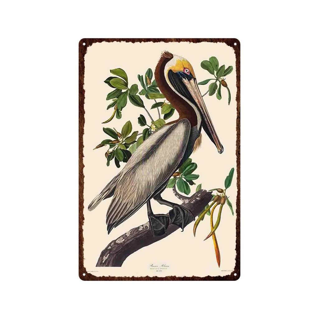 Mfoever Tin Sign Bird Flower Variety Sign Metal Sign Vintage Tin Sign Bar Vintage Wall Decor Bar Club Man Cave Metal Poster